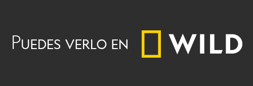 Watch it on Nat Geo Wild